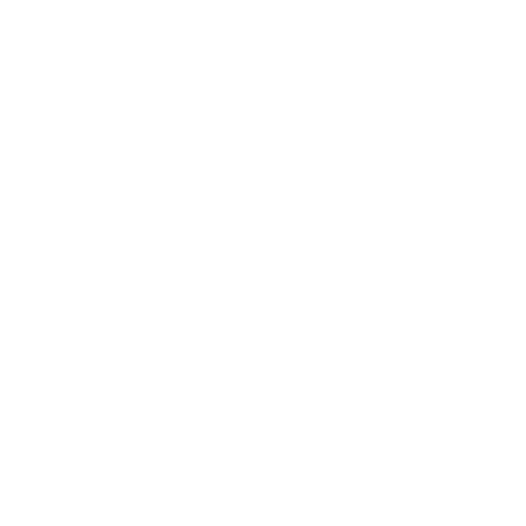 step (1)