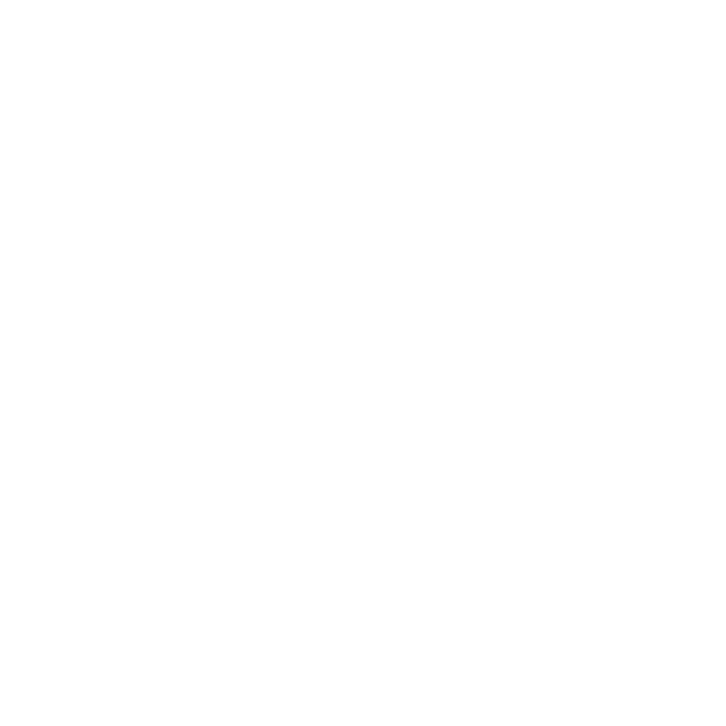 step (2)