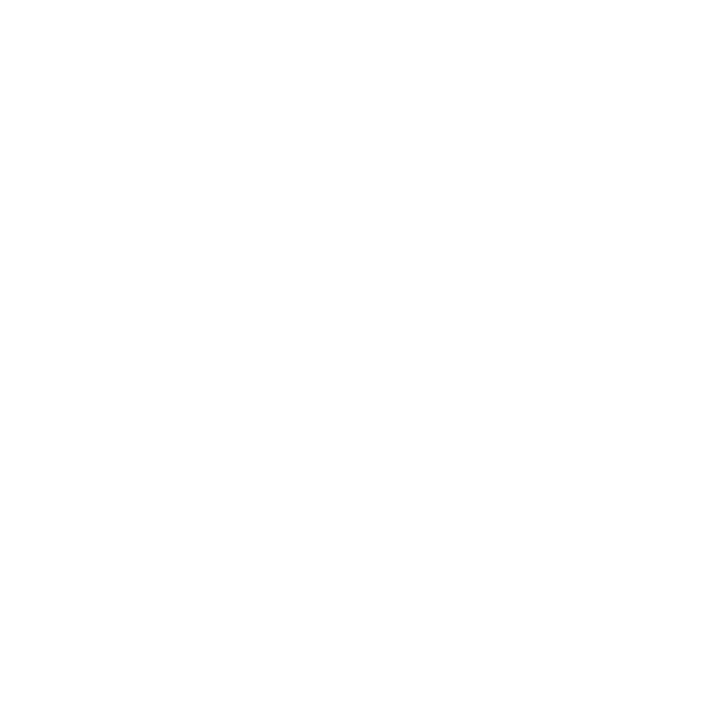 step (3)